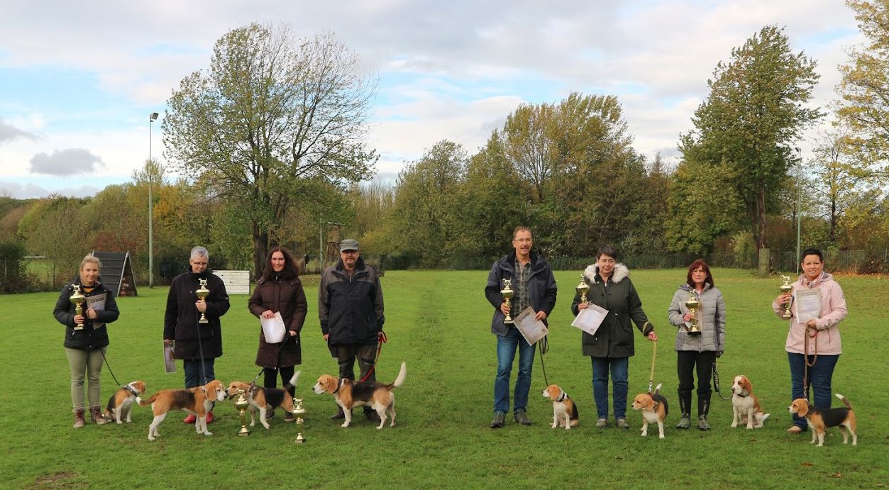 Gruppenfoto Prüfungstag bei Beaglefreunde Rheinland e. V. 02.11.2019